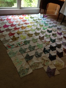 Laid out on my living room floor - about 100 blocks done.